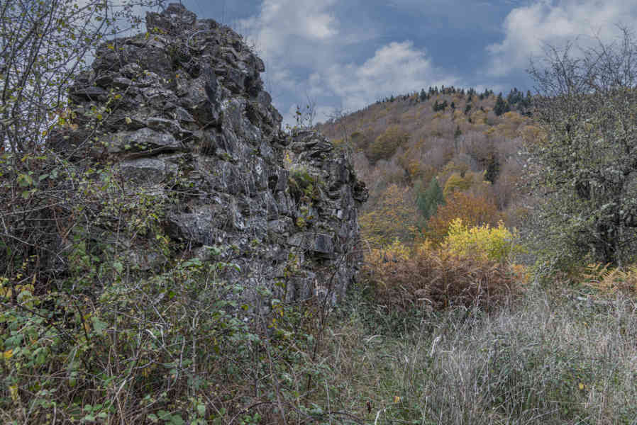 Comunidad Foral de Navarra 109 - Selva de Irati.jpg